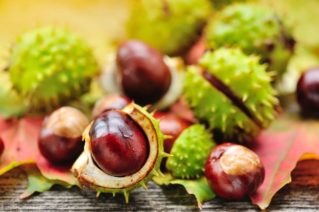 castanha da Índia para prostatite crônica